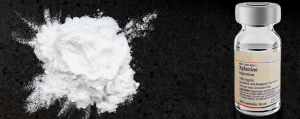 What You Should Know Xylazine